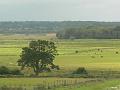 Pulborough Brooks P1120930